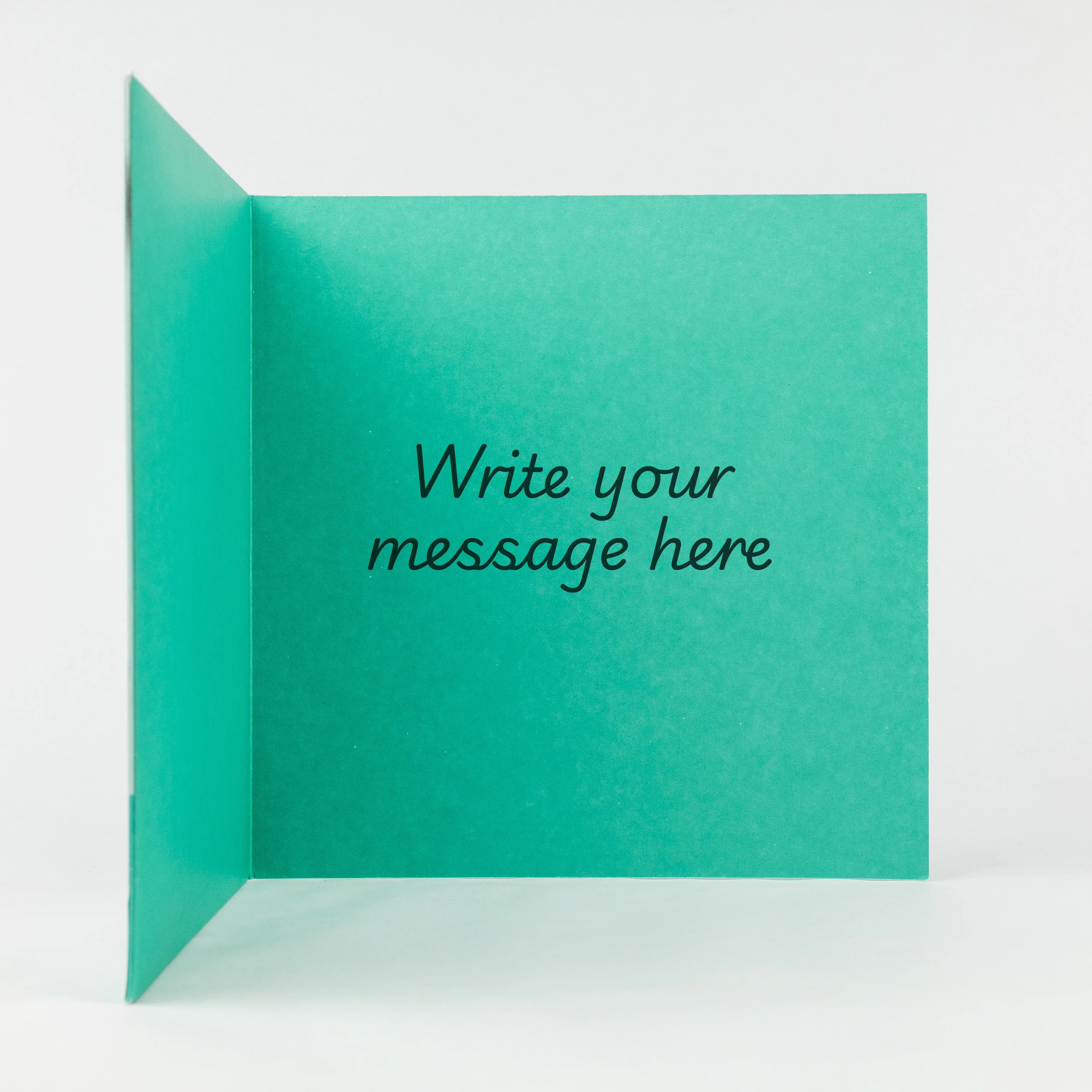 Singing Cake - Image 5