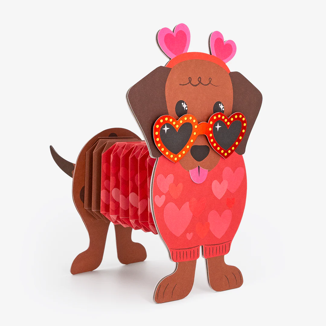 Sausage Dog - Image 4