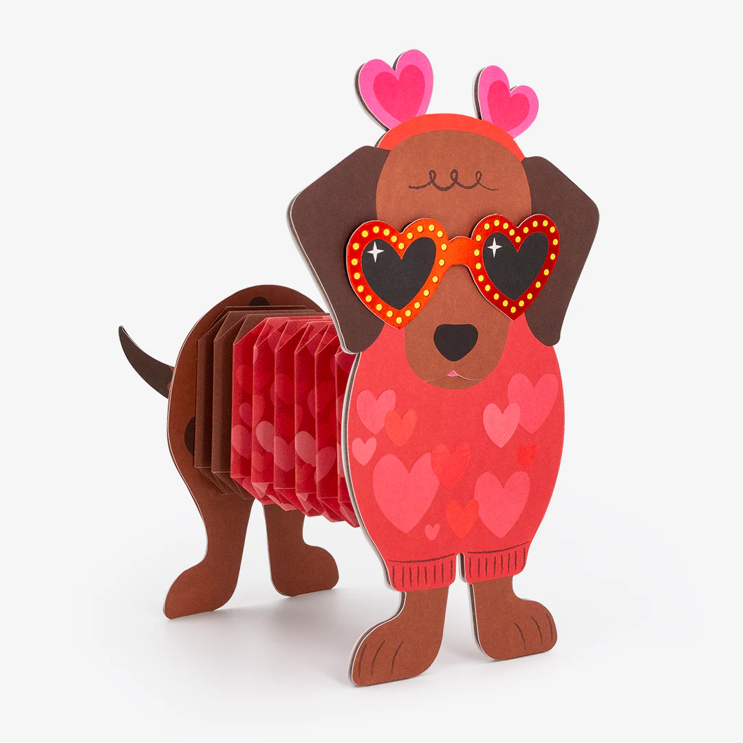 Sausage Dog - Image 5